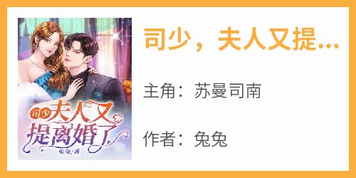 司少，夫人又提离婚了