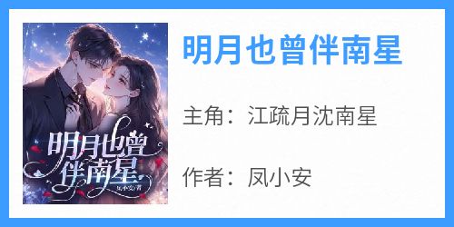 明月也曾伴南星