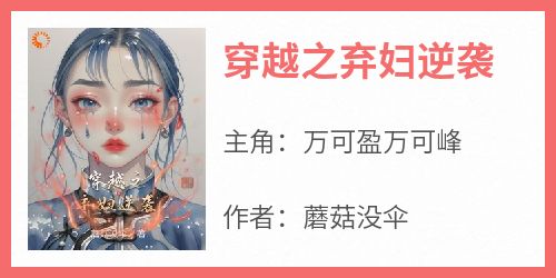 穿越之弃妇逆袭