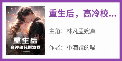 重生后，高冷校花倒追我？