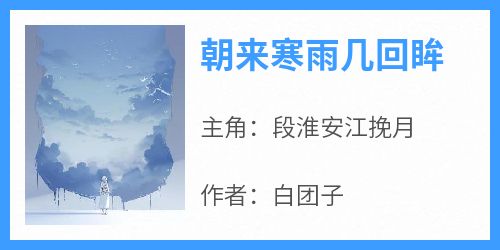 朝来寒雨几回眸