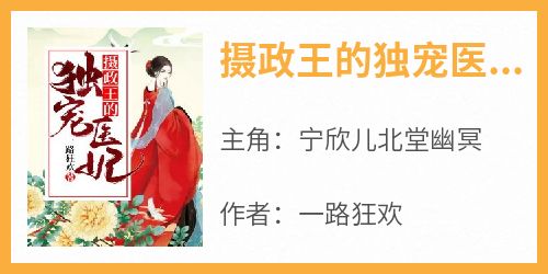 摄政王的独宠医妃