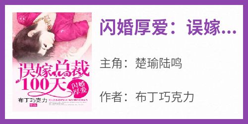 闪婚厚爱：误嫁总裁100天