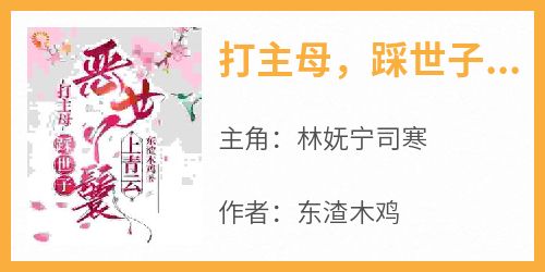 打主母，踩世子，恶女丫鬟上青云