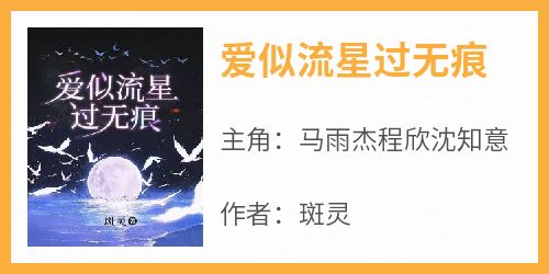 爱似流星过无痕