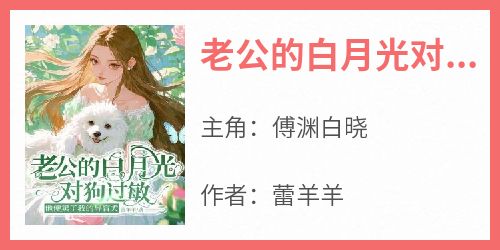 老公的白月光对狗过敏，他便卖了我的导盲犬