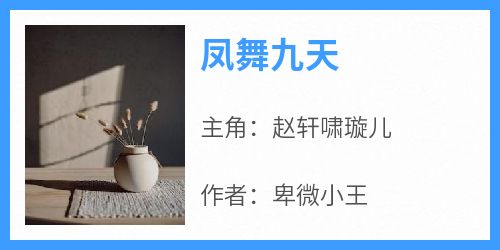 凤舞九天