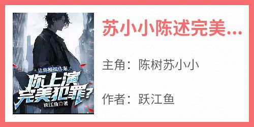 苏小小陈述完美犯罪