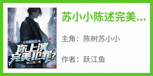 苏小小陈述完美犯罪
