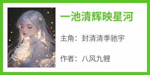 一池清辉映星河