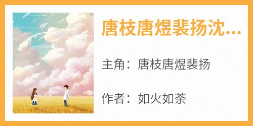 唐枝唐煜裴扬沈安安
