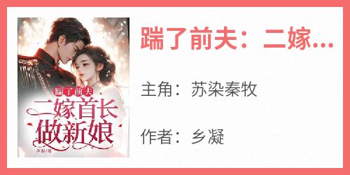 踹了前夫：二嫁首长做新娘