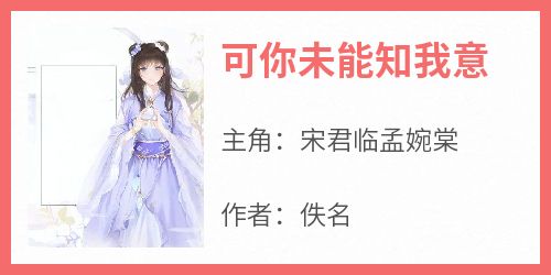 可你未能知我意