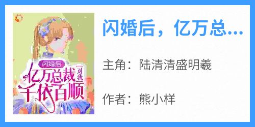 闪婚后，亿万总裁对我千依百顺