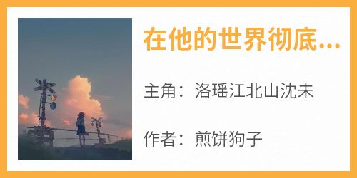 在他的世界彻底消失
