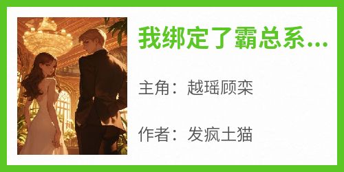 我绑定了霸总系统