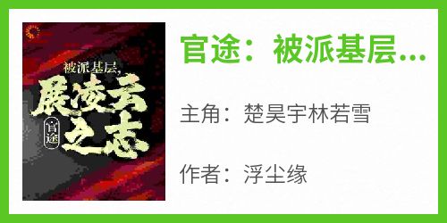 官途：被派基层，展凌云之志