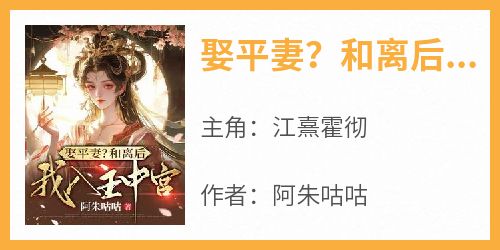 娶平妻？和离后我入主中宫