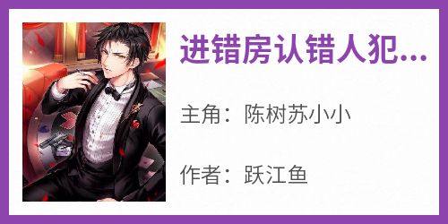 进错房认错人犯罪