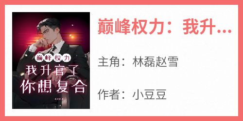巅峰权力：我升官了你想复合