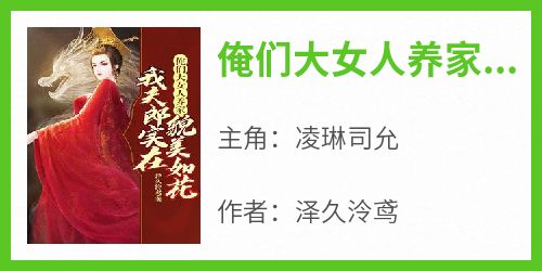 俺们大女人养家，我夫郎实在貌美如花