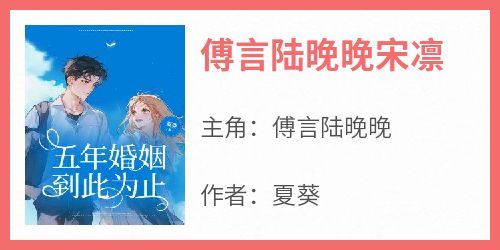 傅言陆晚晚宋凛