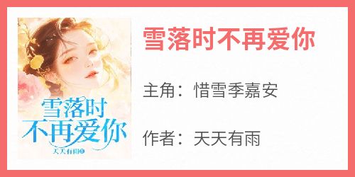 雪落时不再爱你