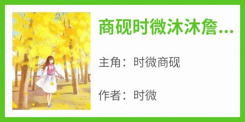 商砚时微沐沐詹又晴