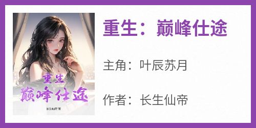 重生：巅峰仕途