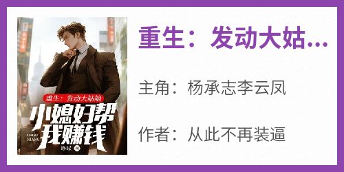 重生：发动大姑娘小媳妇帮我赚钱