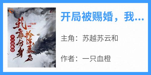 开局被赐婚，我靠分身扮演幕后