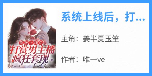 系统上线后，打赏男主播疯狂套现