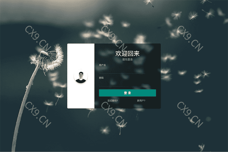 图片[1] - 登录注册忘记密码页面源码 - 尘心网